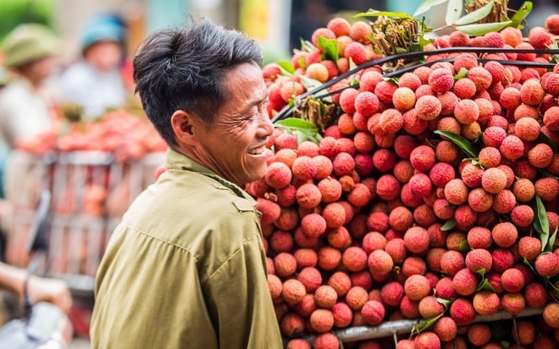 Lychee is among fruits that Vietnam exports most to China. Photo courtesy of the Industry and Trade newspaper.
