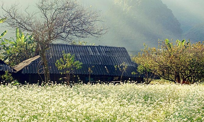 A corner of Thung Cuong Village in Moc Chau. Photo courtesy of Cungphuot.info.