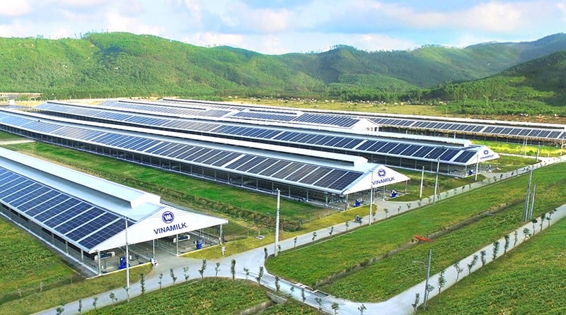 A Vinamilk farm in Quang Ngai province, central Vietnam with a rooftop solar power system.