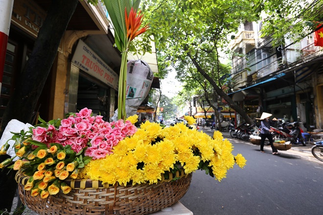 Flowers in Hanoi's Old Quarter. Photo courtesy of Young people newspaper.