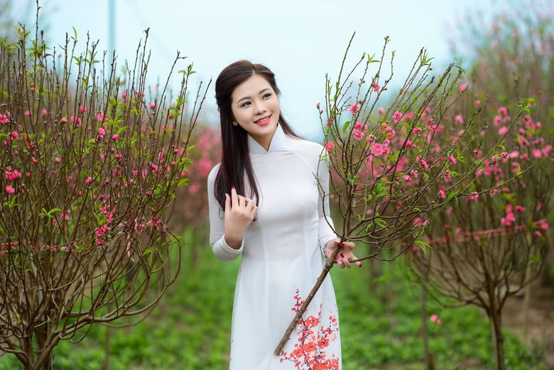 Lunar New Year (Tet) holiday is the time of peach blossoms. Photo courtesy of br-art.vn.