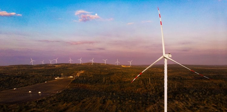 A wind farm developed by The Blue Circle in Southeast Asia. Photo courtesy of the company.