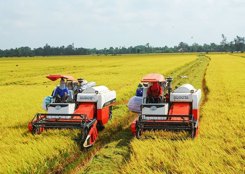Rice harvest in the Mekong Delta, Vietnam’s rice bowl. Photo courtesy of Viet People newspaper.