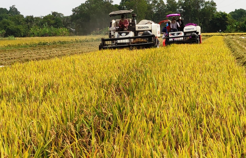Farmers harvest rice in Can Tho city, Mekong Delta of Vietnam. Photo courtesy of Can Tho newspaper.