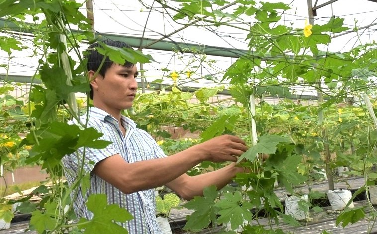 A high-tech agricultural facility in Ba Ria-Vung Tau province, southern Vietnam. Photo courtesy of Ba Ria-Vung Tau newspaper.