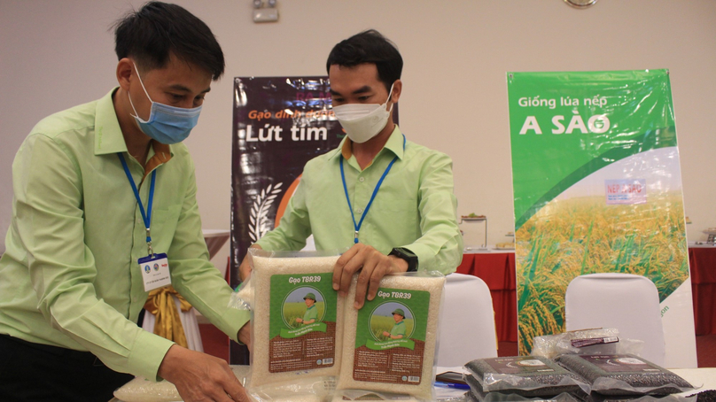 Thai Binh Seed displays TBR39 fragrant rice and A Sao sticky rice at a competition in HCMC on November 4, 2022. Photo courtesy of Viet People newspaper.