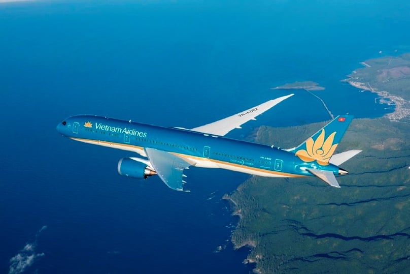 Vietnam Airlines is the biggest carrier in Vietnam, with the state as majority shareholder. Photo courtesy of VietnamPlus.