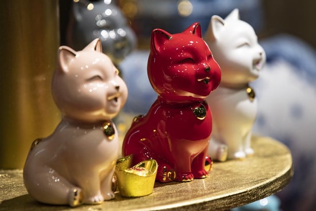 Cats at a shop present happiness and prosperity. Photo courtesy of Vietnam News Agency.