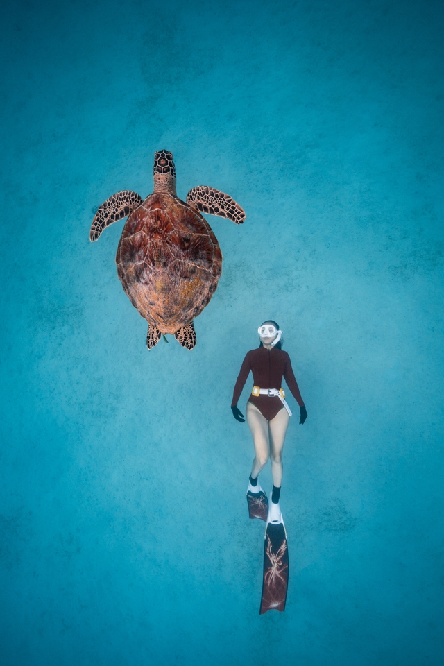 'Turtle Dream' taken by Nguyen Ngoc Thien.