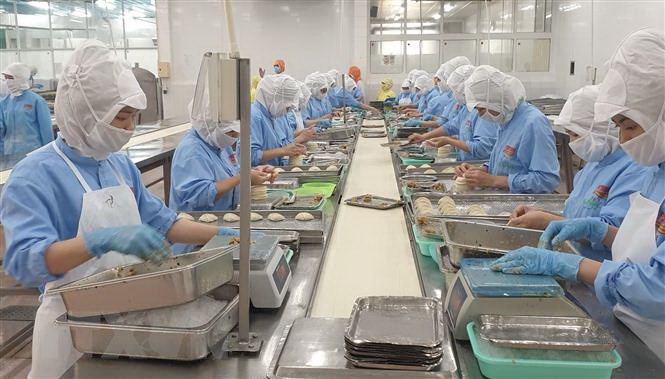 Vietnamese workers process seafood for export. Photo courtesy of Vietnam News Agency.