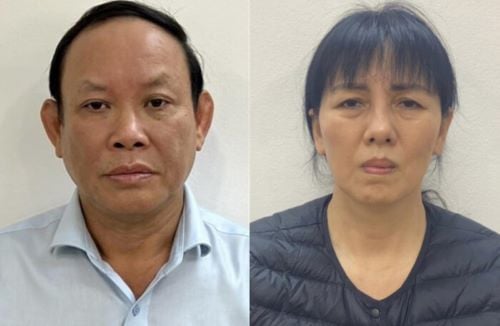 Nguyen Duc Thai (L) and Nguyen Thi Thanh Thuy. Photo courtesy of Ministry of Public Security.