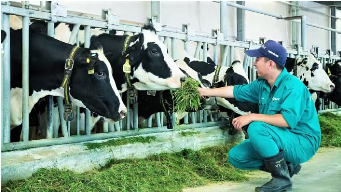 Vinamilk is the largest dairy producer in Vietnam. Photo courtesy of the firm.