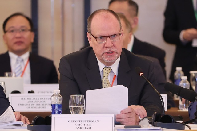 Gregory Testerman, chairman of AmCham Vietnam in HCMC. Photo courtesy of the government portal.