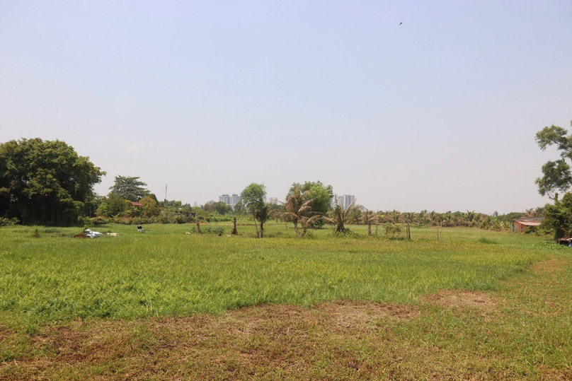 A field in Thanh Da Peninsular. Photo by The Investor/Minh Anh.