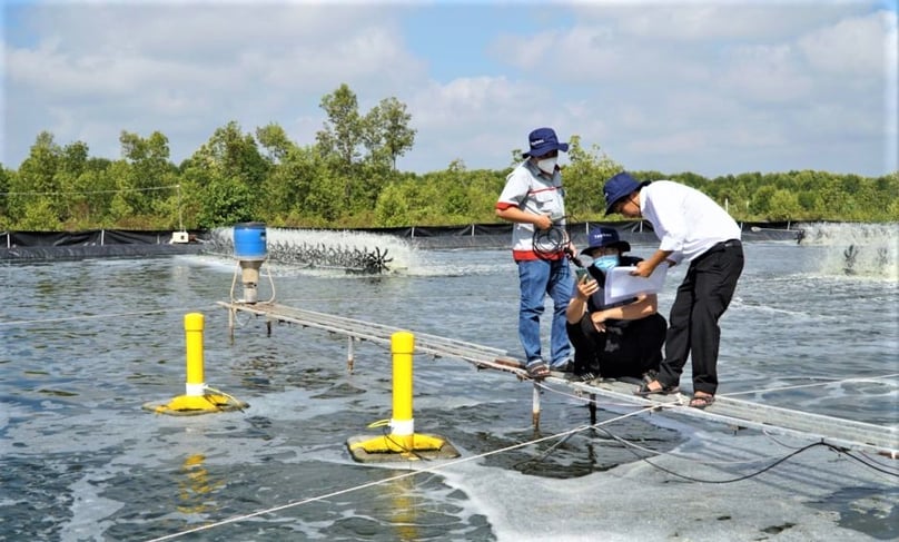 Aquaculture workers at a shrimp farm of Tepbac in Vietnam. Photo courtesy of the firm. 