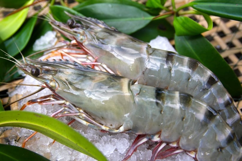 Minh Phu Seafood’s tiger shrimp. Photo courtesy of the company.