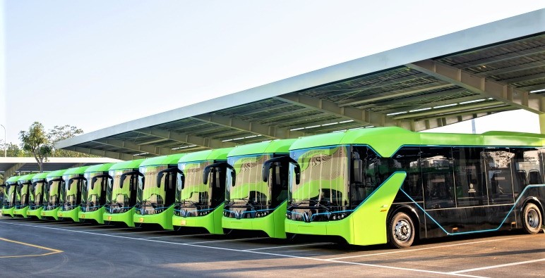 Fully-electric buses made by VinFast at its manufacturing complex in Hai Phong city, northern Vietnam. Photo courtesy of the firm.