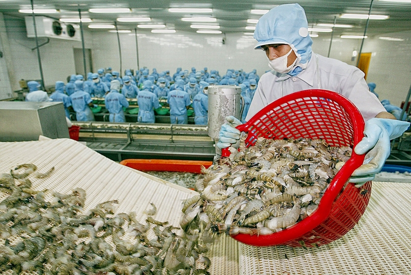 In the first four months of 2023, Vietnam's shrimp export turnover reached $887 million, down 37% year-on-year. Photo courtesy of the government portal.
