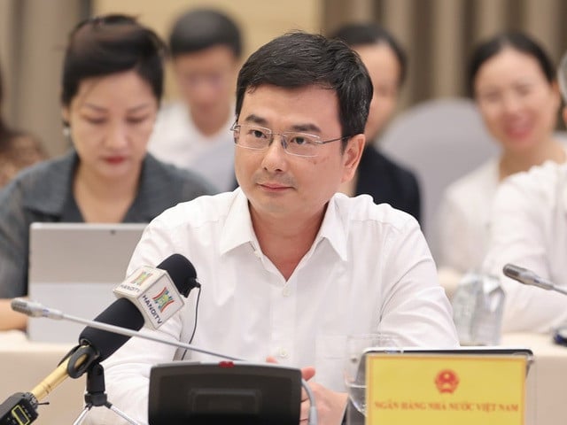 Deputy Governor of the State Bank of Vietnam (SBV) Pham Thanh Ha. Photo courtesy of the government portal.