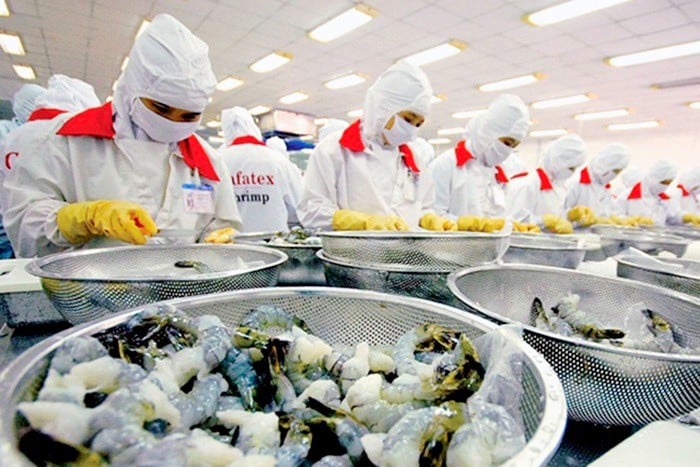 Workers at Cafatex Seafood JSC process shrimp for export. Photo courtesy of the company.