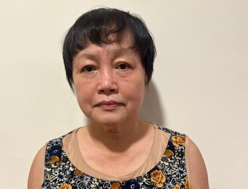 Tran Thi Binh Minh, former deputy director of Ho Chi Minh City's Department of Planning and Investment. Photo courtesy of the police.