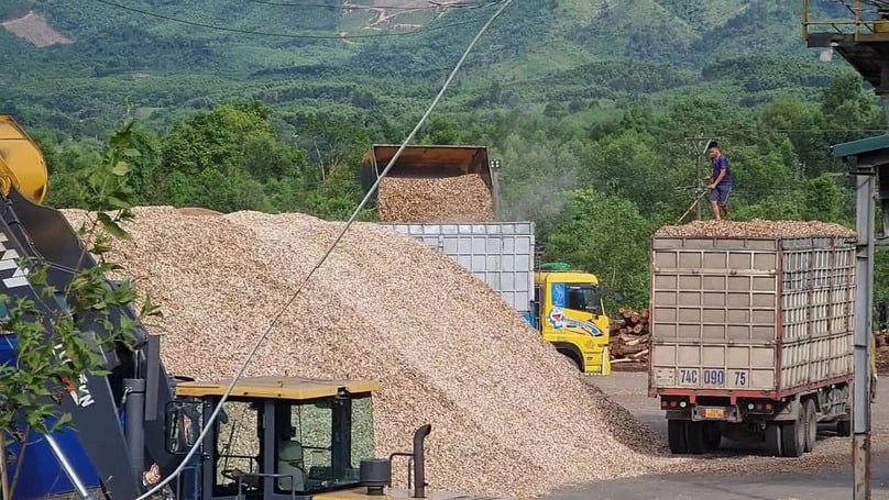 A wood pellet factory in Quang Tri province, central Vietnam. Photo courtesy of Environment & Life magazine.