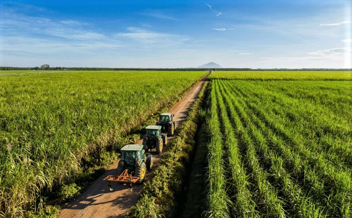 A TTC AgriS farm in Vietnam. Photo courtesy of the company. 