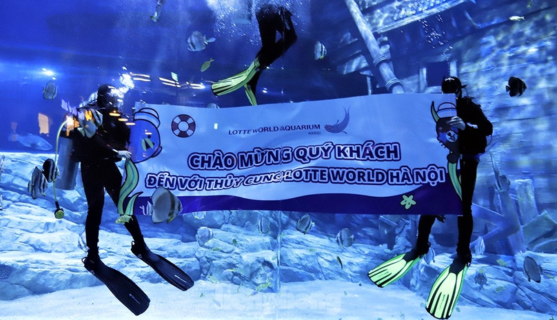 An underwater invitation to the Lotte World Aquarium Hanoi that opened on August 1, 2023 in the capital city. Photo courtesy of Tien Phong (Pioneer) newspaper.