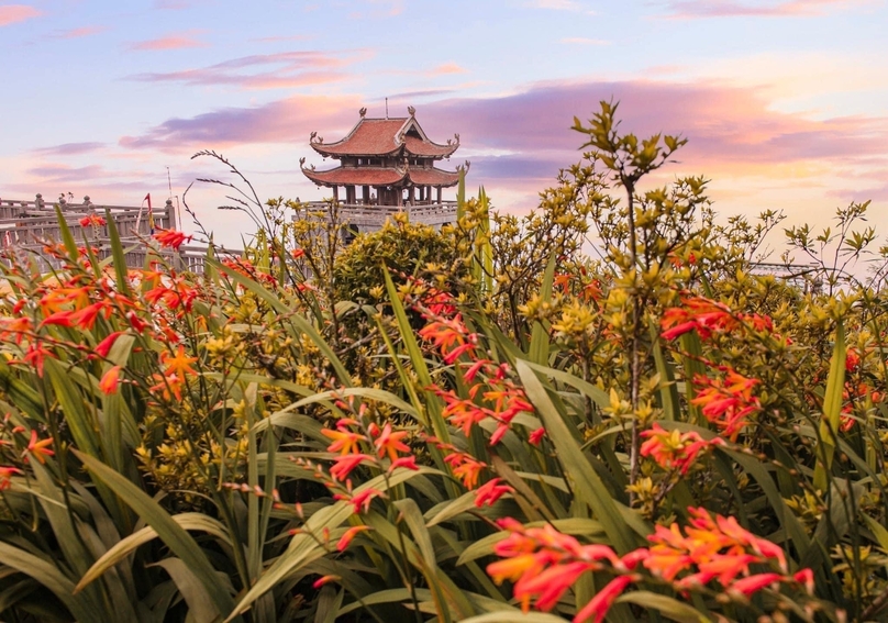 Red crocosmia flowers bloom on Fansipan - the Roof of Indochina in Sapa town, Lao Cai province, northern Vietnam. Photo courtesy of Sun World Fansipan Legend.