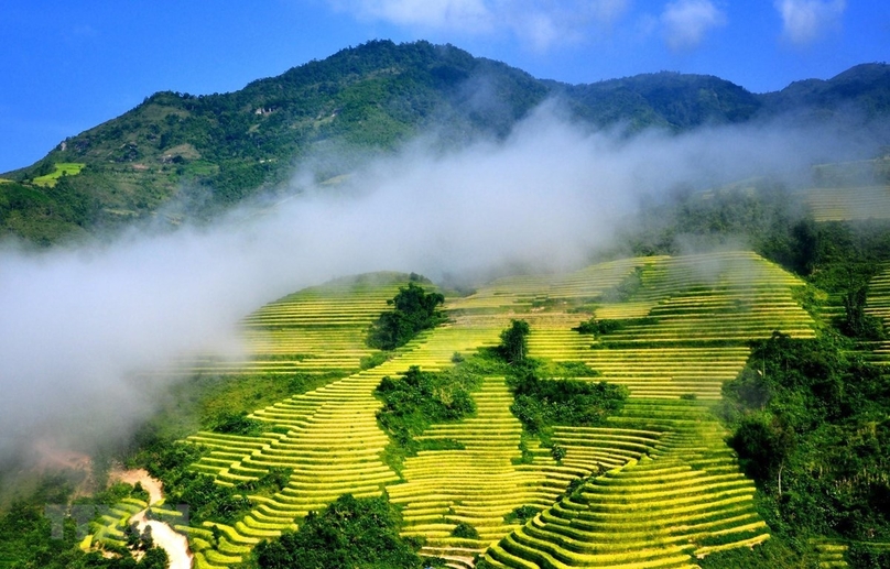 Terraced rice fields in Sa Pa town, Lao Cai province, northern Vietnam. Photo courtesy of Vietnam News Agency.