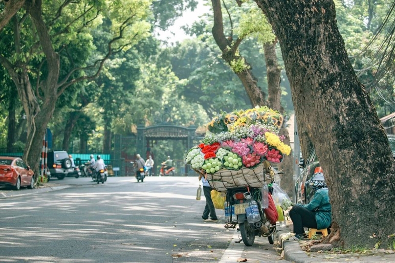 A bike with flowers on sale in a Hanoi street in autumn. Photo courtesy of Thanh Nien (Young People) newspaper.