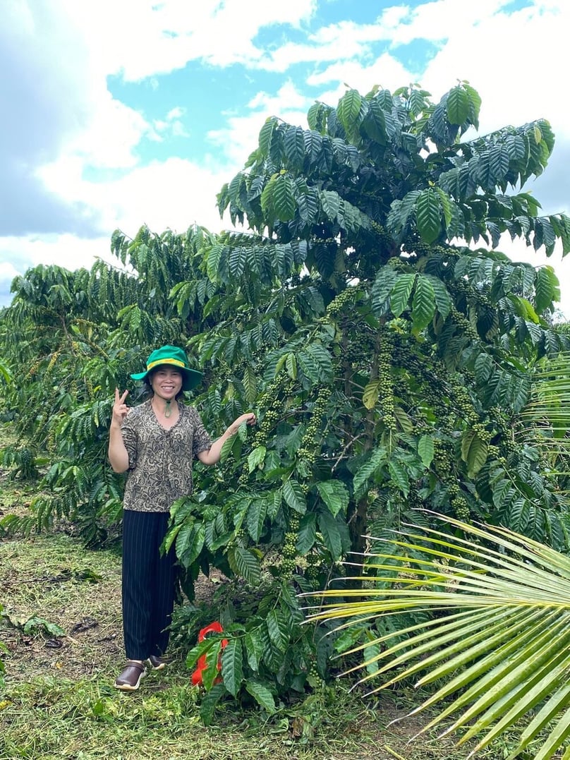 Nguyen Thi Tuyet Lien of Loc Thang commune, Bao Lam district, Lam Dong province, in her high-yield coffee garden that uses NPK Phu My + Beneficial Microorganisms. Photo courtesy of PVFCCo.