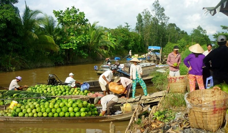 Boats carrying fruits for trading in Vietnam's Mekong Delta. Photo by The Investor/An Hoa.