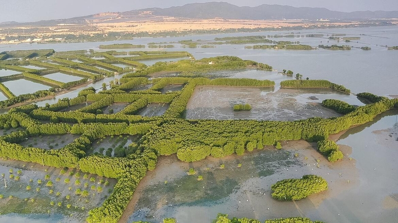 The Thi Nai lagoon in Binh Dinh province, south-central Vietnam, boasts a large marshy area. Photo courtesy of Binh Dinh's news portal.