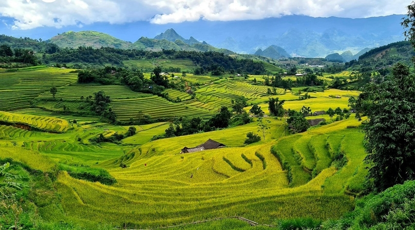 Ta Leng field in Tam Duong commune, Lai Chau province, northern Vietnam. Photo courtesy of Voice of Vietnam (VOV).