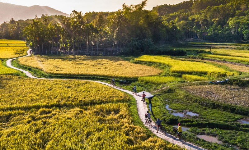 A corner of Quang Nam province, central Vietnam. Photo courtesy of xaydungso.vn.