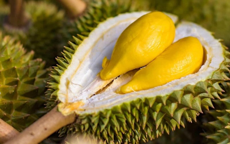 In the first 11 months of 2023, Vietnam exported durians worth $2.18 billion. Photo courtesy of the government portal.