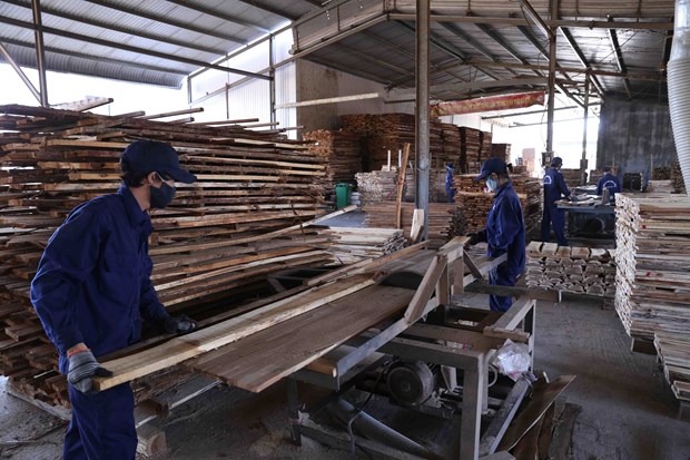 The 2023 export value of Vietnam's wood and wood products sector is estimated at $13.4 billion. Photo courtesy of the government's news portal.