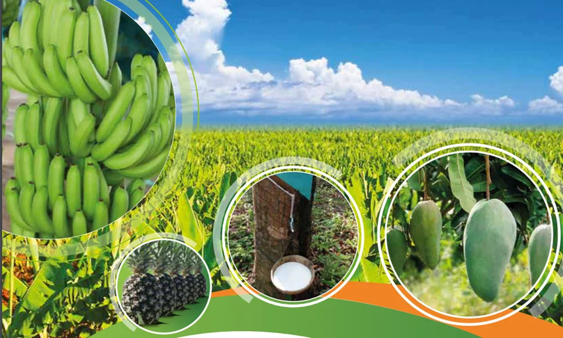 Products of Hoang Anh Gia Lai Agricultural JSC (HAGL Agrico). Photo courtesy of the company.