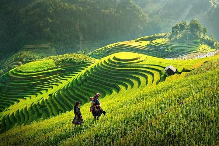 Terraced rice fields in Sapa town, Lao Cai province, northern Vietnam. Photo courtesy of Tripadvisor.