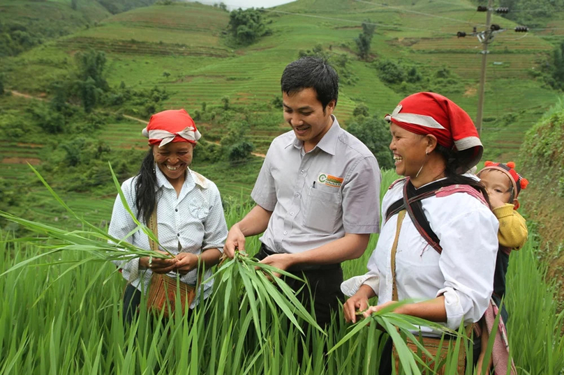 A Loc Troi employee inspects rice plants alongside ethnic minority farmers. Photo courtesy of the company.