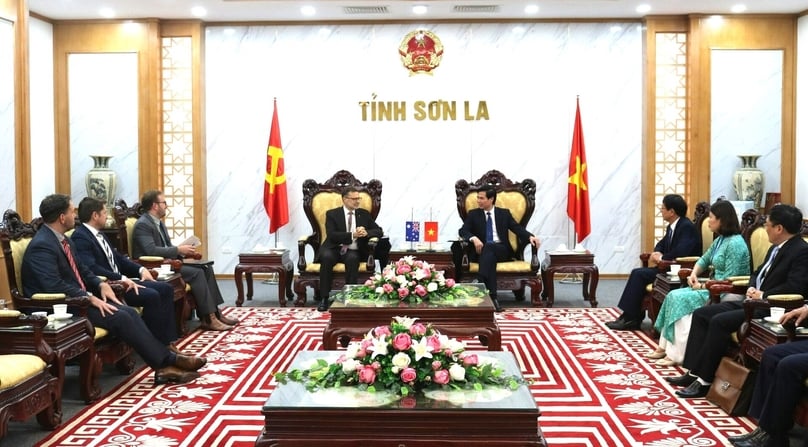Australian Ambassador to Vietnam Andrew Goledzinowski (left, center) and Son La Chairman Hoang Quoc Khanh meet in the northern mountainous province, February 22, 2024. Photo courtesy of Son La news portal.