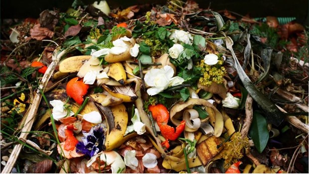  Food waste. Photo courtesy of technologyreview.com.