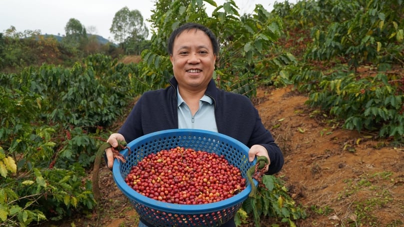 Phan Minh Thong, general director of Phuc Sinh Group, at a coffee plantation. Photo courtesy of the group.
