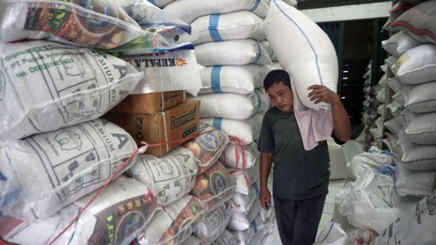 Indonesia's rice assistance from January to March 2024 reached 641,000 tons. Photo courtesy of Jakarta Post.