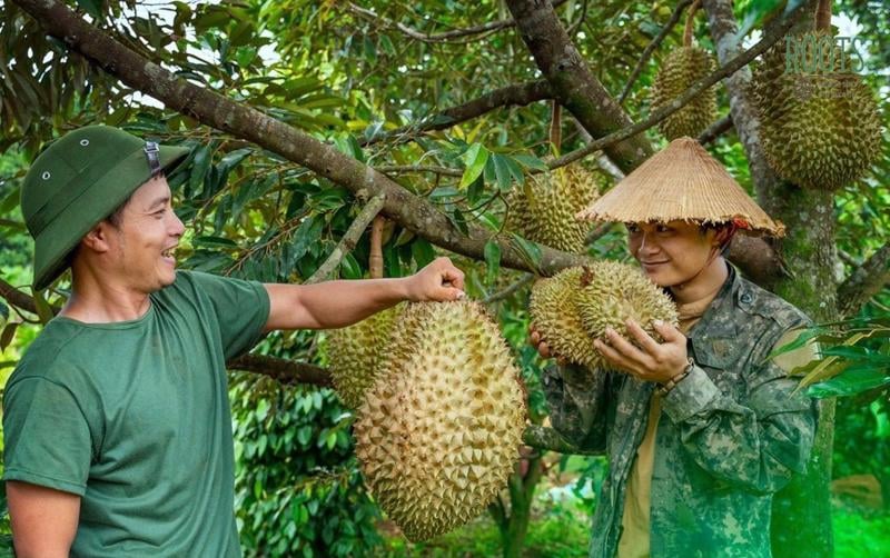 Vietnam exported 32,750 tons of durian to China in the first two months of 2024. Photo courtesy of VnEconomy.