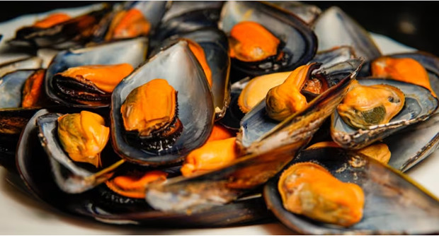  A stack of raw mussels on a plate. Photo courtesy of iStock.