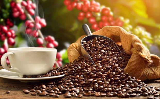 Vietnam's coffee exports hit $1.93 billion in Q1/2024, up 57.3% year-on-year. Photo courtesy of the government's news portal.