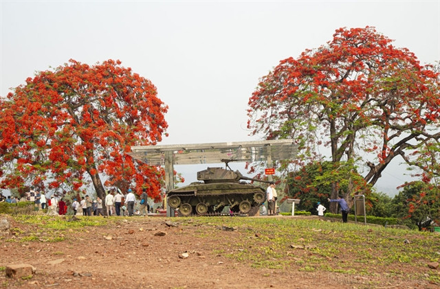  On the eve of the historic May, on A1 Hill, the flamboyant trees begin to bloom. Photo courtesy of Vietnam News.