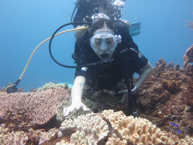  A diver checks coral reef in water off Ly Son Islands, Quang Ngai province, central Vietnam. Photo courtesy of the Ly Son Islands Marine Conservation Centre.